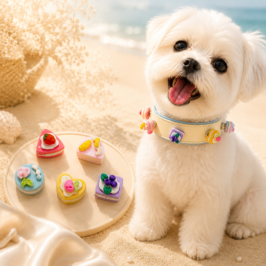 Set di Charm Intercambiabili per Collare