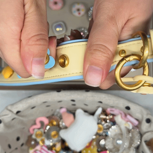 demonstration of interchangeable snap-on charms being attached to a butter yellow dog collar