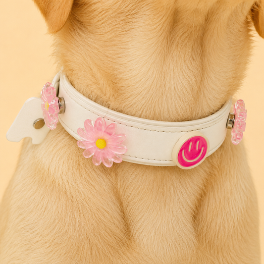 Pink daisy snap-on dog collar charm on PETIRIA white interchangeable dog collar, shown on a dog. Lightweight floral pet accessory for customizable dog collar styling in the US market.