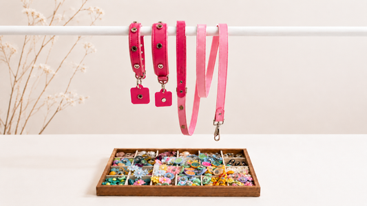 What Are Dog Collar Charms & How Do They Work?