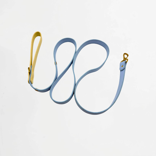Butter Sky Charm Leash for Dogs & Cats