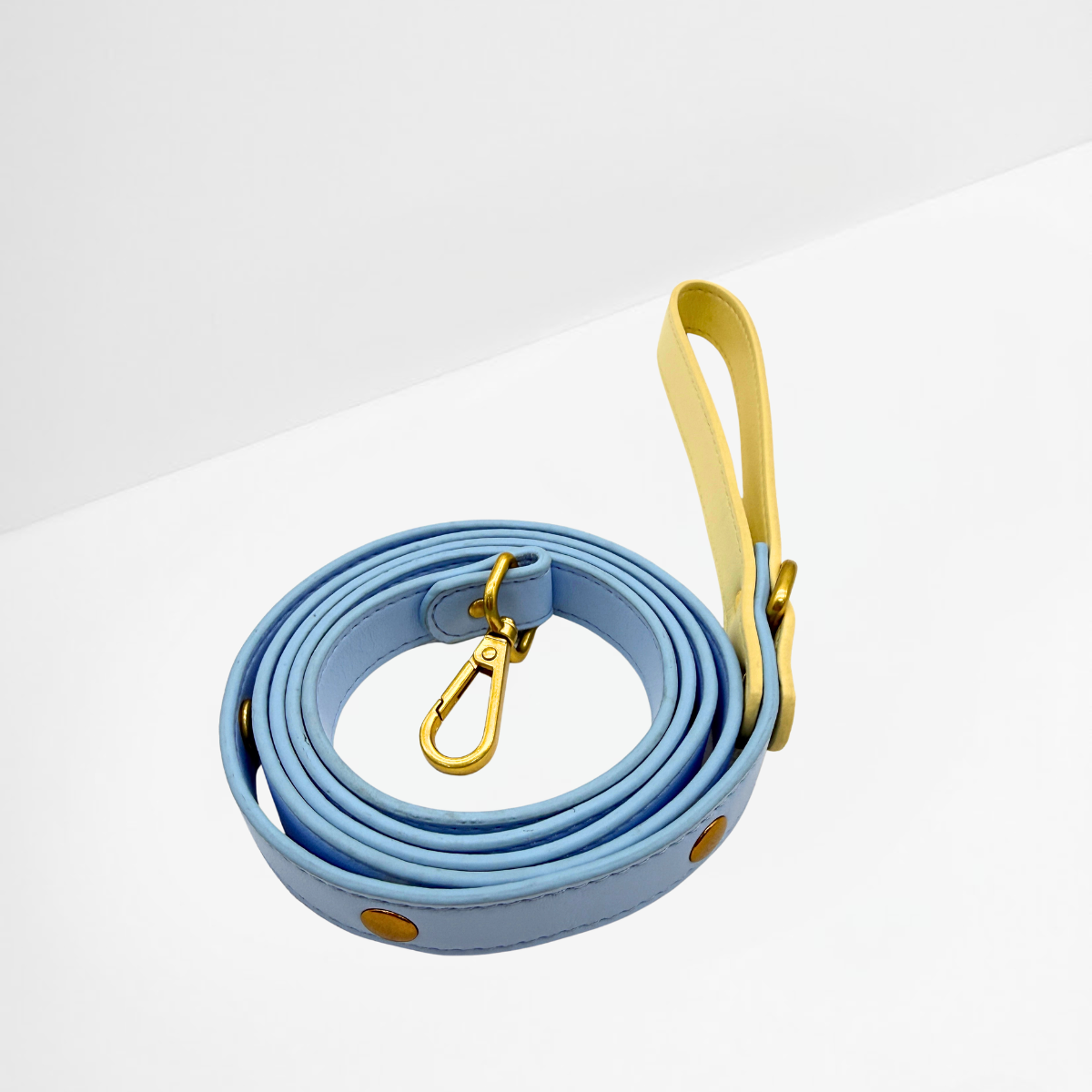 Butter Sky Charm Leash for Dogs & Cats
