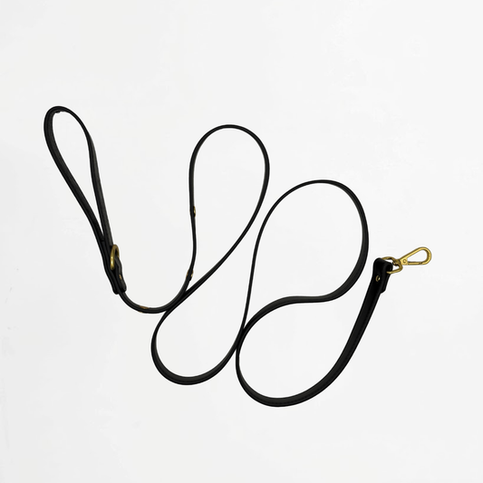 Midnight Black Charm Leash for Dogs & Cats