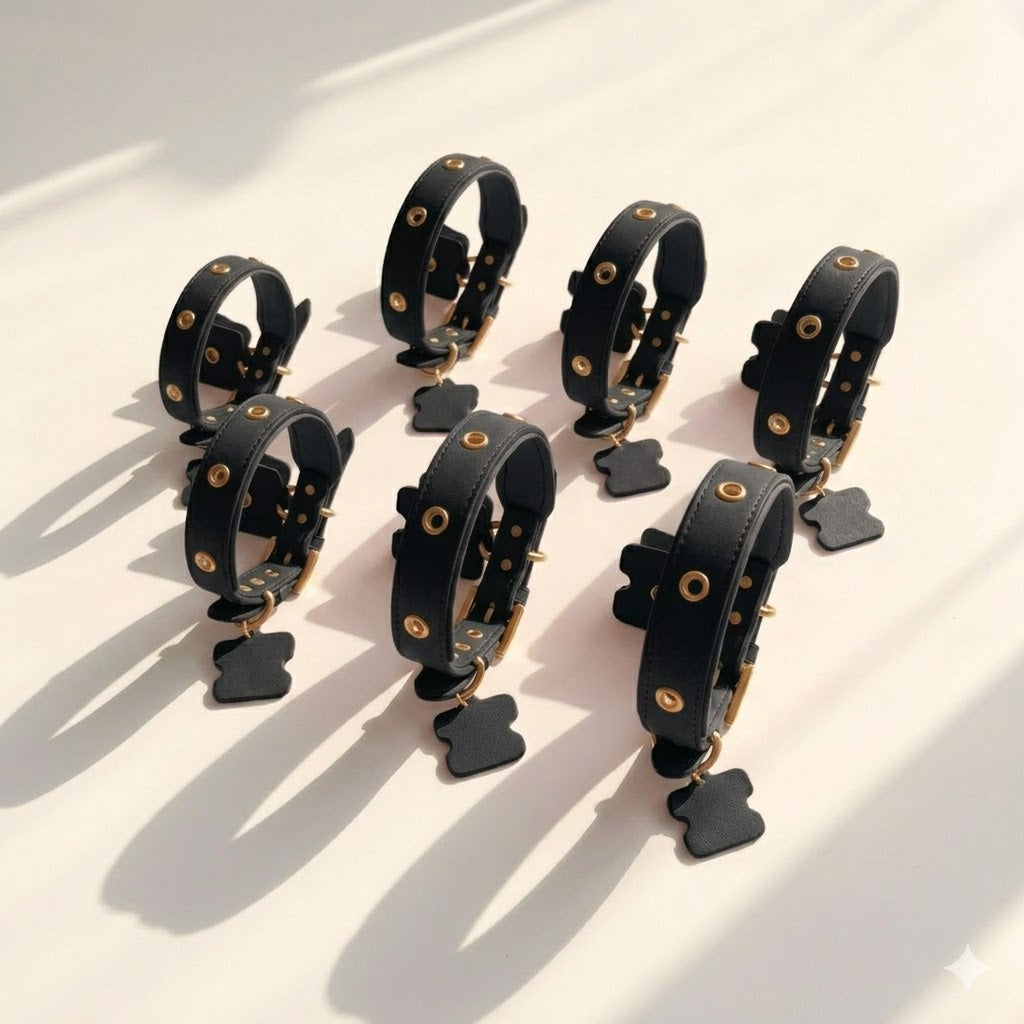 Midnight Black Interchangeable Charm Collar for Cats & Dogs