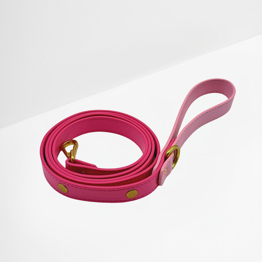 Blush Pink Charm Leash for Dogs & Cats