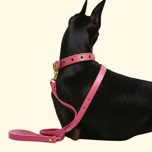 Blush Pink Charm Leash for Dogs & Cats