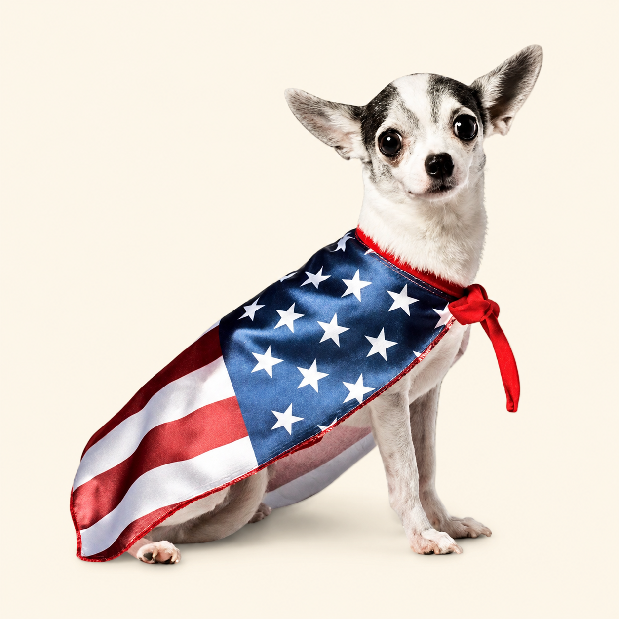 Patriotic dog shirt with American flag design for 4th of July celebrations