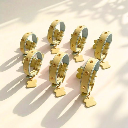 Butter Sky Interchangeable Charm Collar for Cats & Dogs