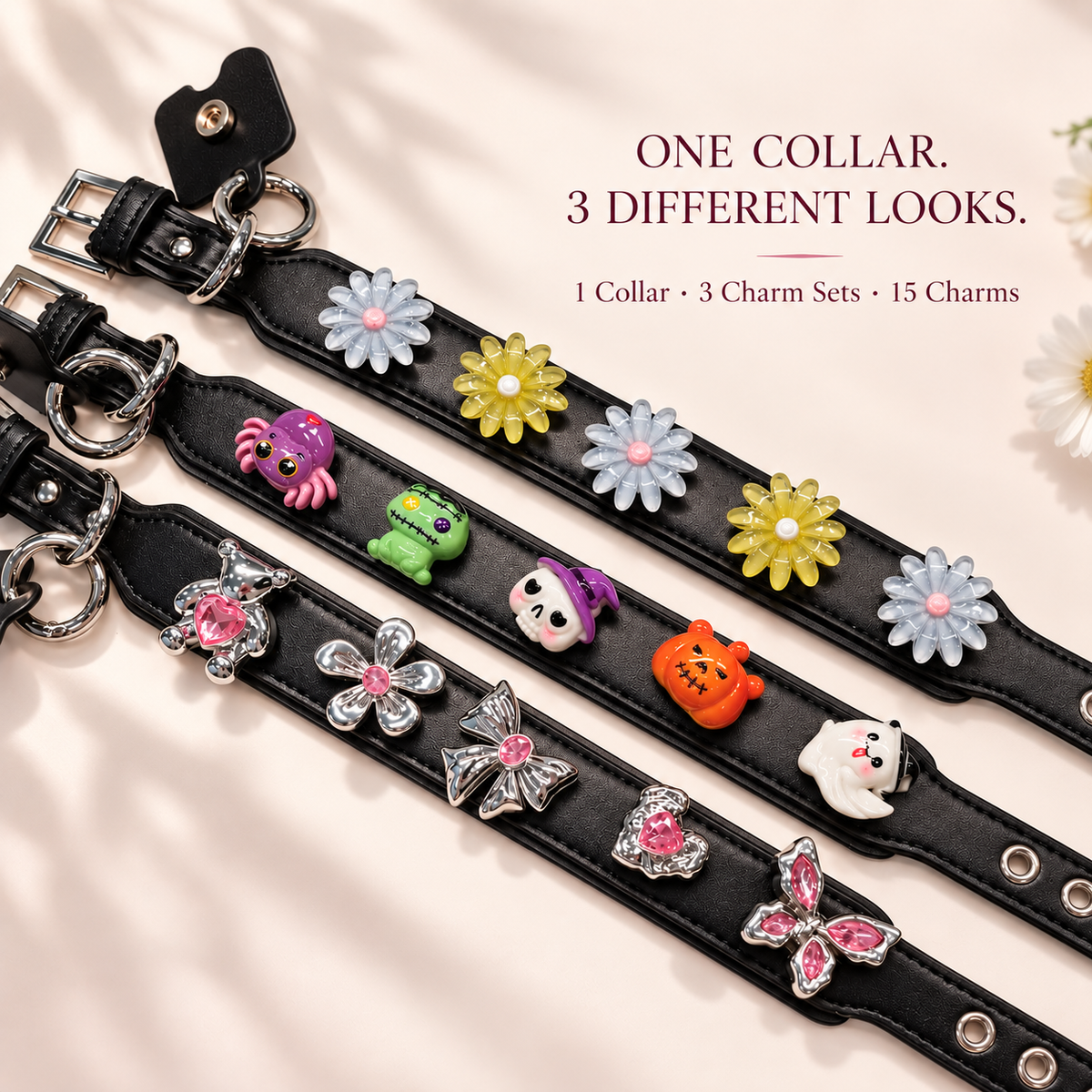 Black dog collar starter kit with 3 interchangeable charm sets and 15 dog collar charms