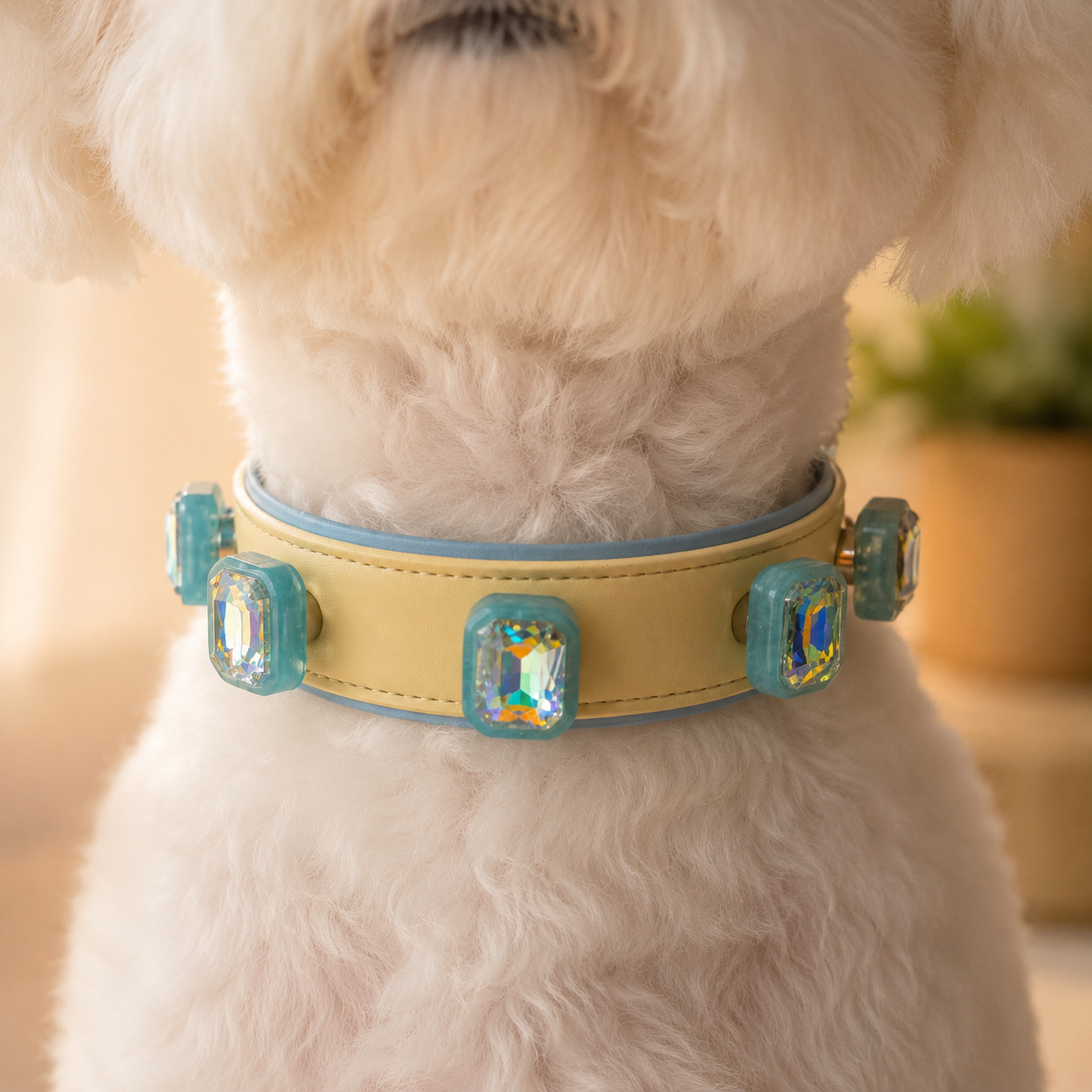 dog wearing a PETIRIA interchangeable collar with blue aurora crystal dog collar charms for a sparkling everyday look.