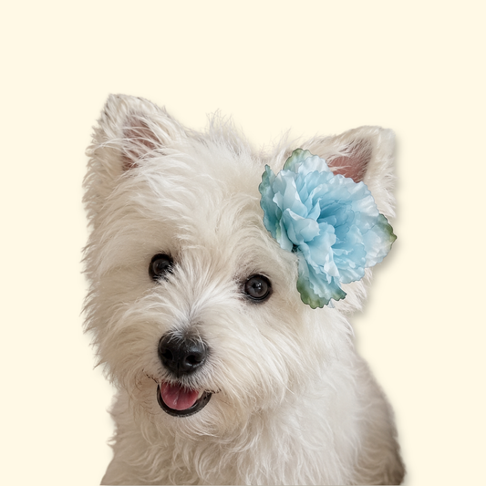 lue flower dog hair clip for dogs and cats– pet hair accessory gift