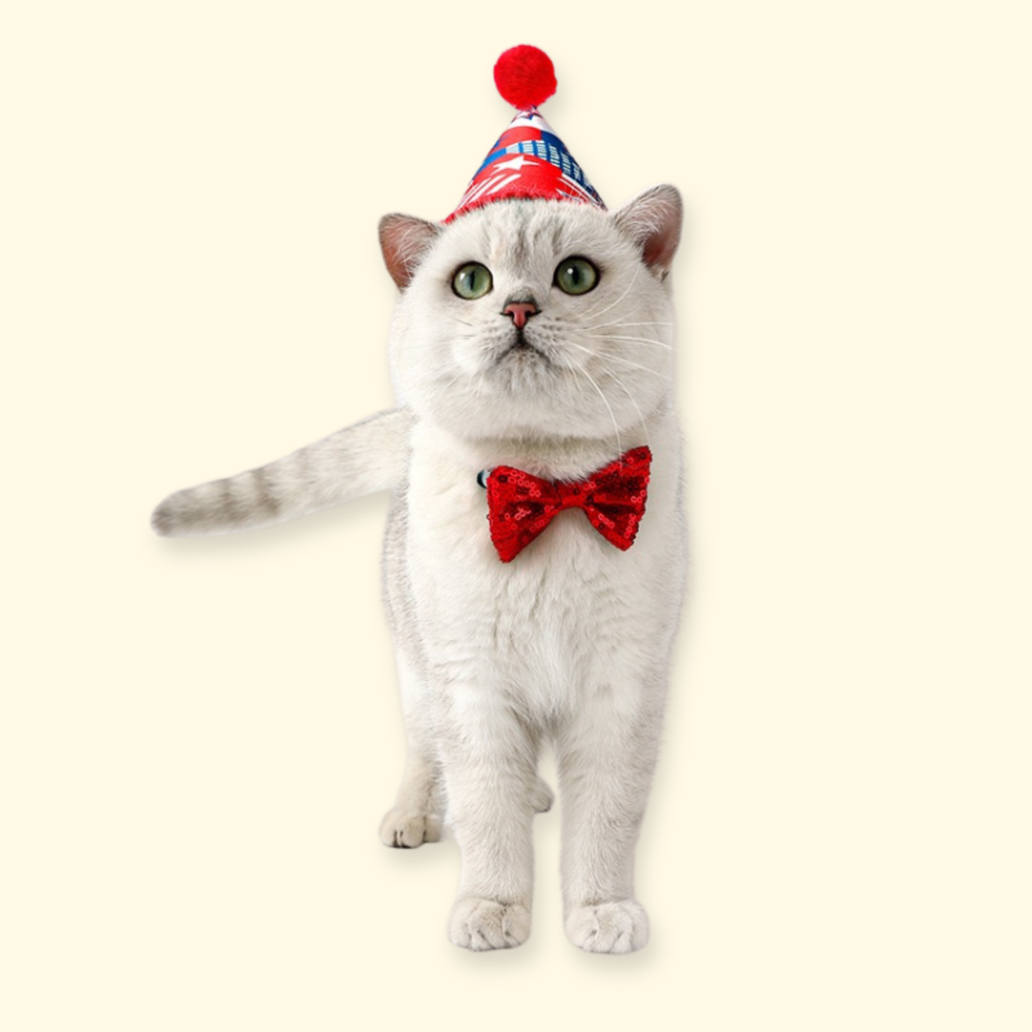 White cat wearing a red, white, and blue party hat with pom pom, festive accessory for pets