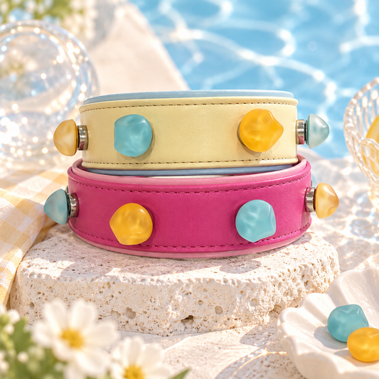 Color Pop dog collar charms in blue and yellow styled on yellow and pink PETIRIA collars