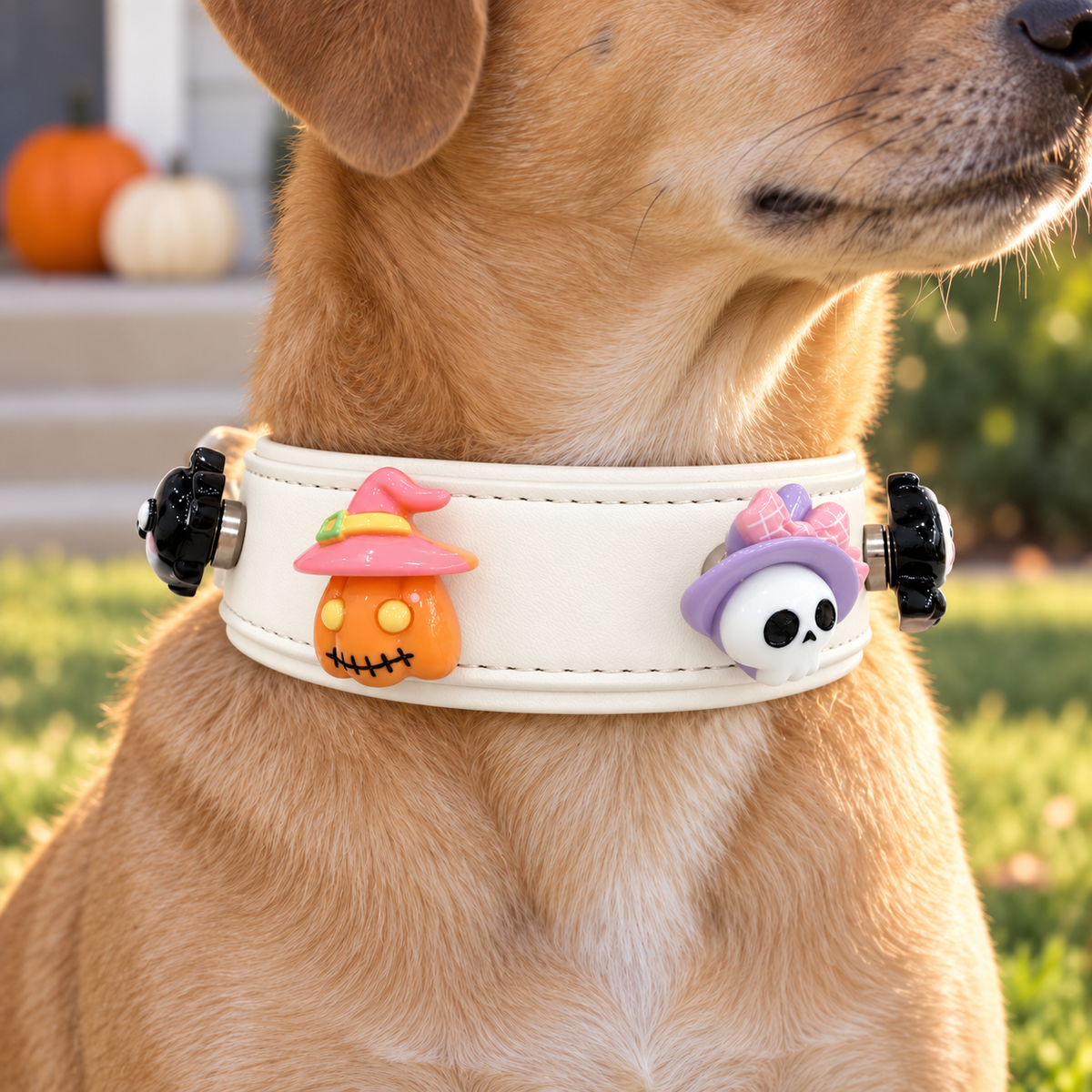Dog wearing a white Petiria collar with cute pumpkin and skull Halloween dog collar charms