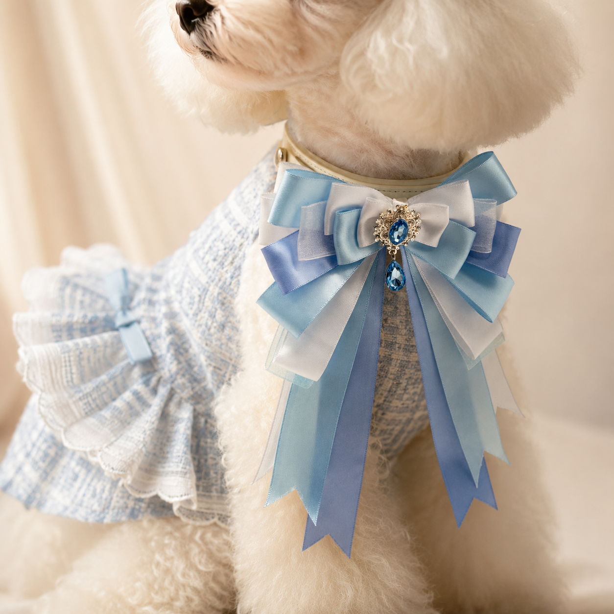 Small dog wearing a blue diamond bow Petiria collar charm, front view, soft warm background, showing layered ribbons and sparkling detail