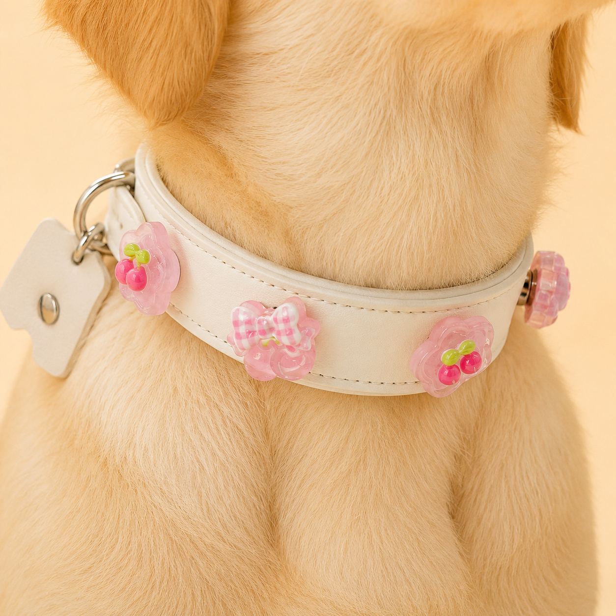 Dog wearing snap-on collar charms, customizable pet charm system for daily walks and pet fashion US market