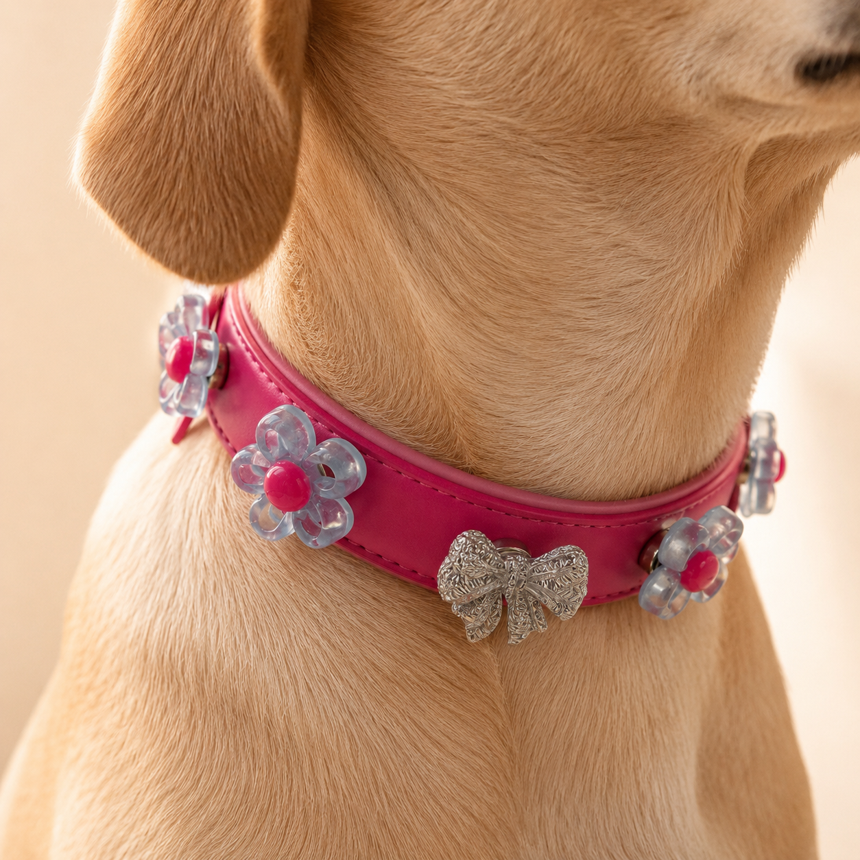 Real dog wearing a pink Petiria collar decorated with interchangeable flower charms, showcasing colorful pet accessory styling system with mix-and-match design