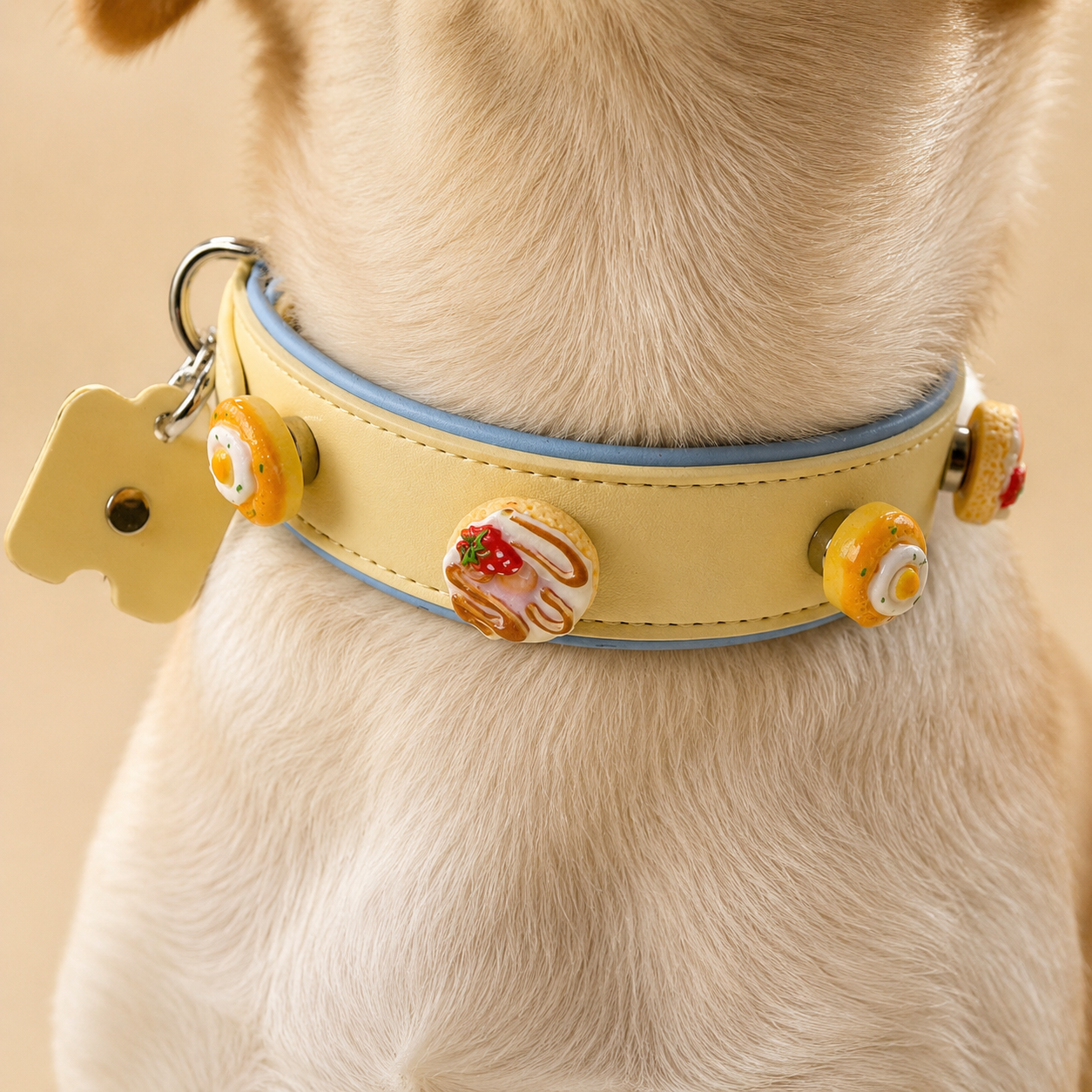 Dog wearing interchangeable collar decorated with food themed snap-on charms including burger, donut, and fried egg designs, showcasing customizable pet collar styling for daily walks and pet photography.