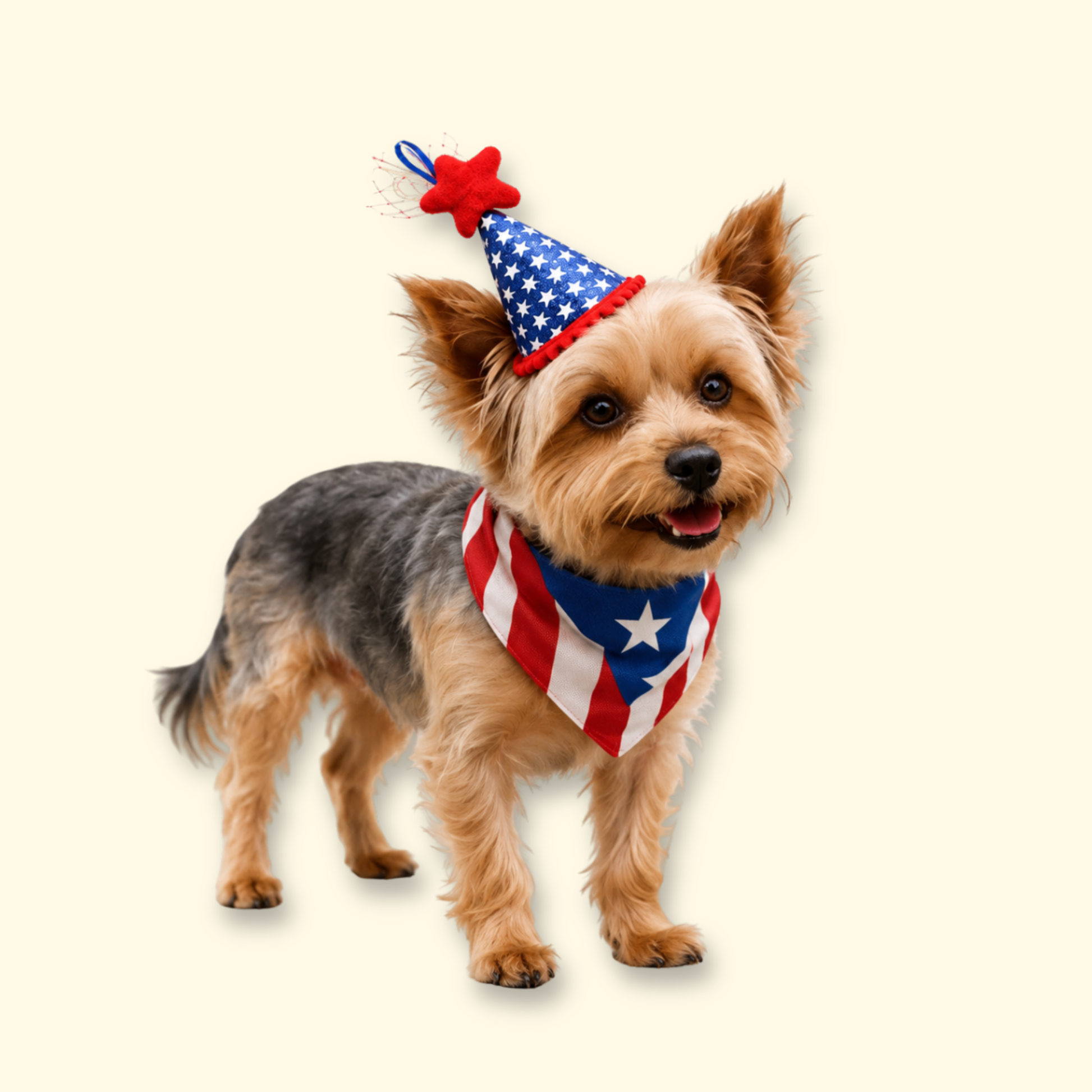 dog dressed in Patriotic 250 USA flag hat and matching bandana – red, white, and blue outfit for 4th of July celebrations