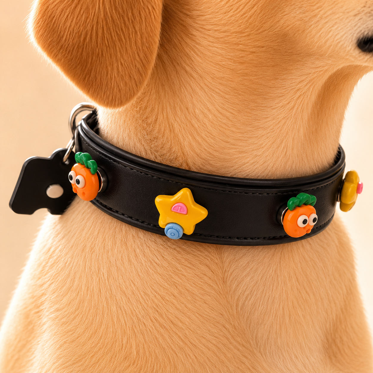 Real dog wearing a black collar decorated with colorful emoji charms including carrot, sun, and star designs, showing lifestyle pet styling.