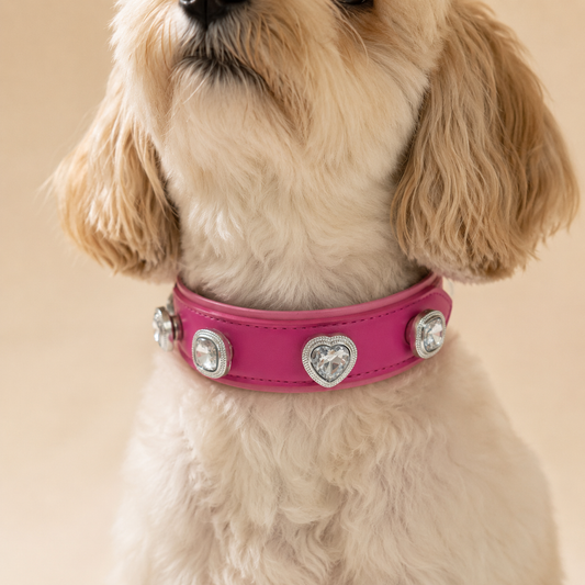 Small dog wearing pink gemstone charm collar with heart crystal decorative design for pet fashion styling
