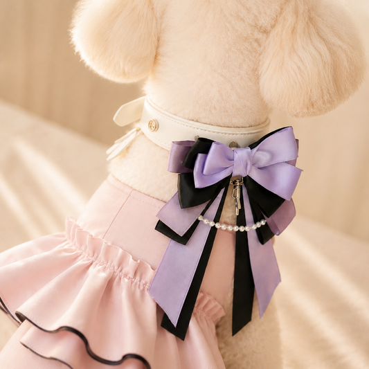 Small dog wearing a layered purple and black ribbon bow collar charm with pearl detail on a white Petiria collar, paired with a pink dog dress, warm background