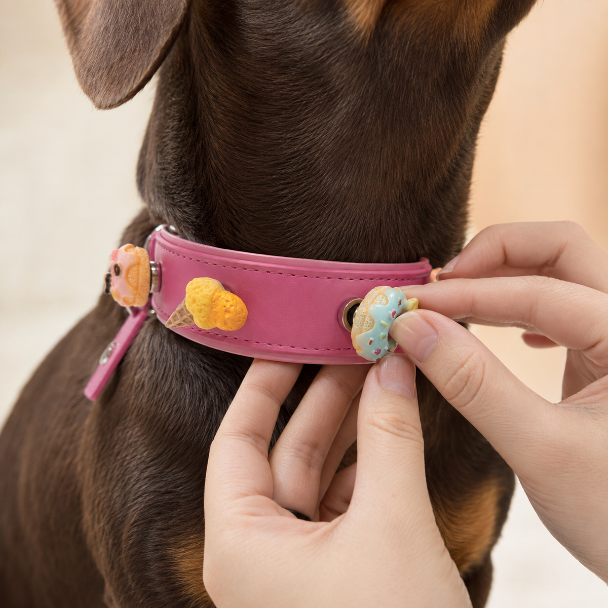 Blue donut dog collar charm being snapped onto a pink Petiria collar