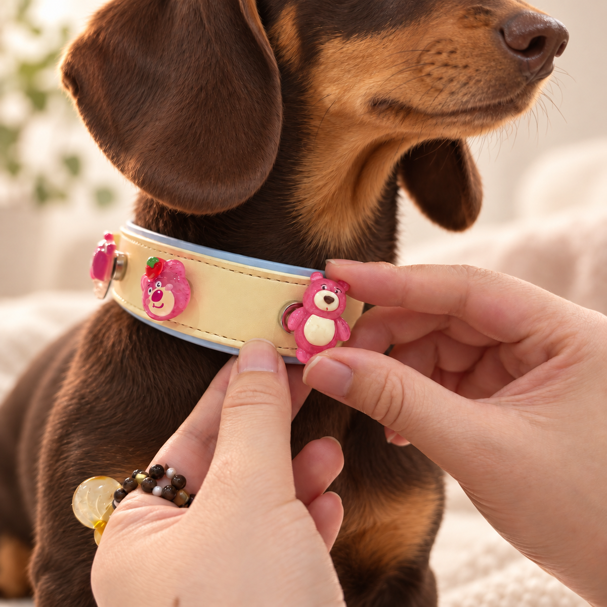 Strawberry bear dog collar charm being snapped onto a cream Petiria interchangeable charm collar