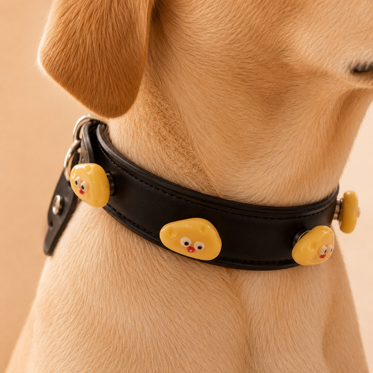 Funny Dumplinge kawaii dog collar charms styled on a black adjustable PU leather dog collar, cute pet accessory for small and medium dogs