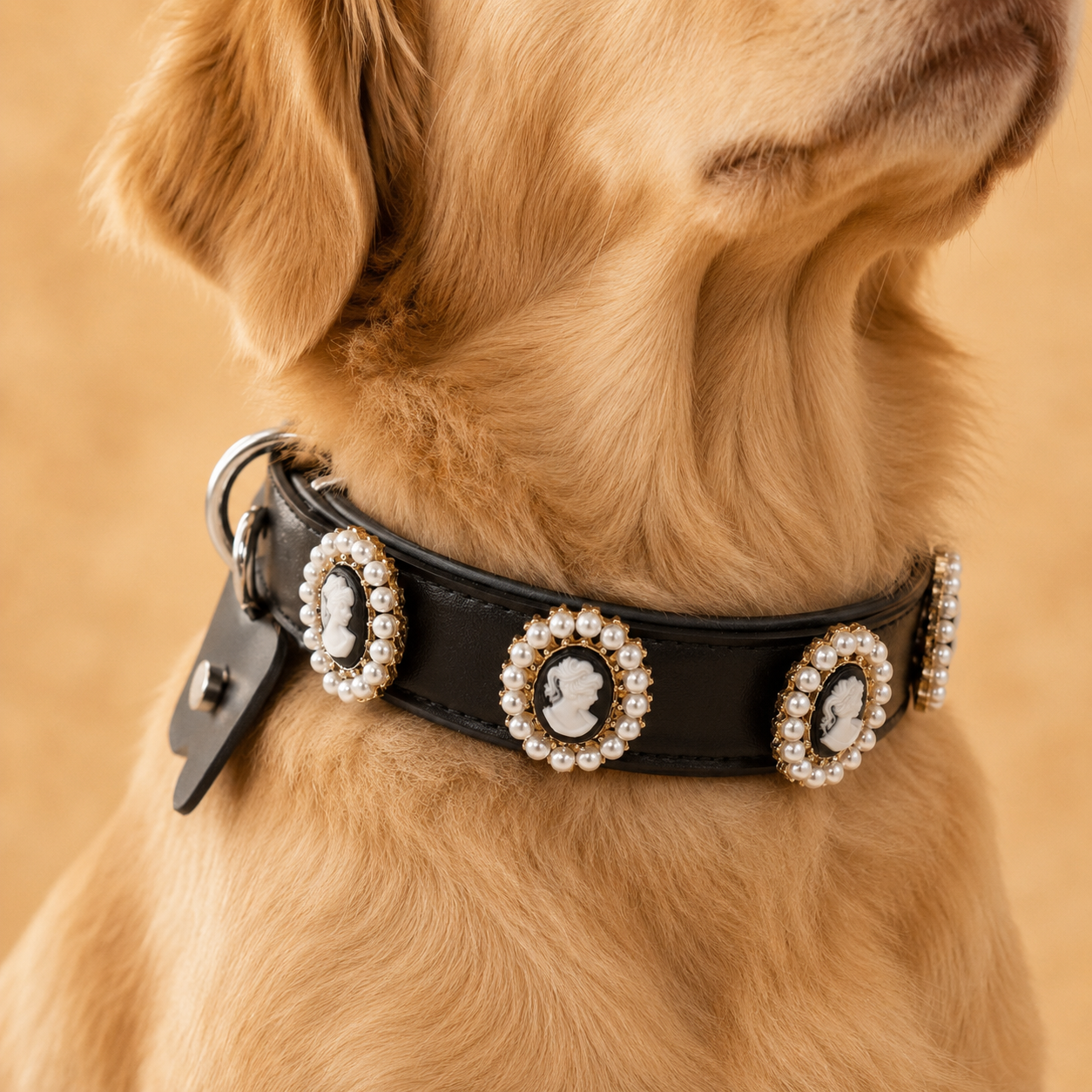 Golden Dog wearing black leather collar with pearl cameo charms, elegant vintage inspired pet styling with luxury medallion detail