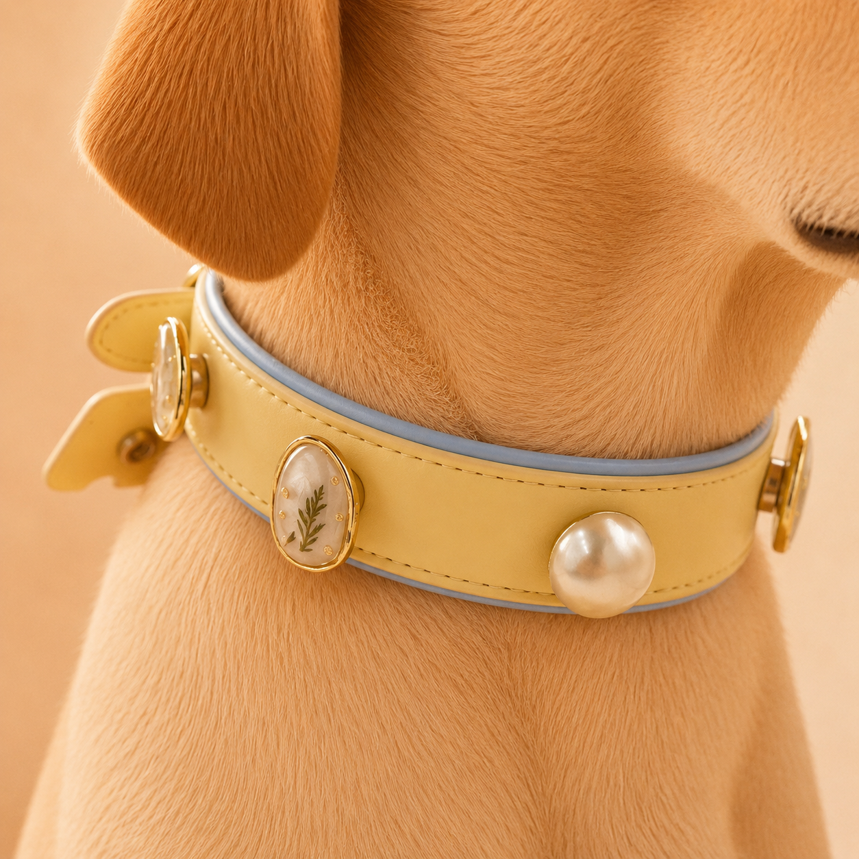Yellow dog collar featuring oval leaf resin charm and pearl charm in elegant natural style pet accessory set