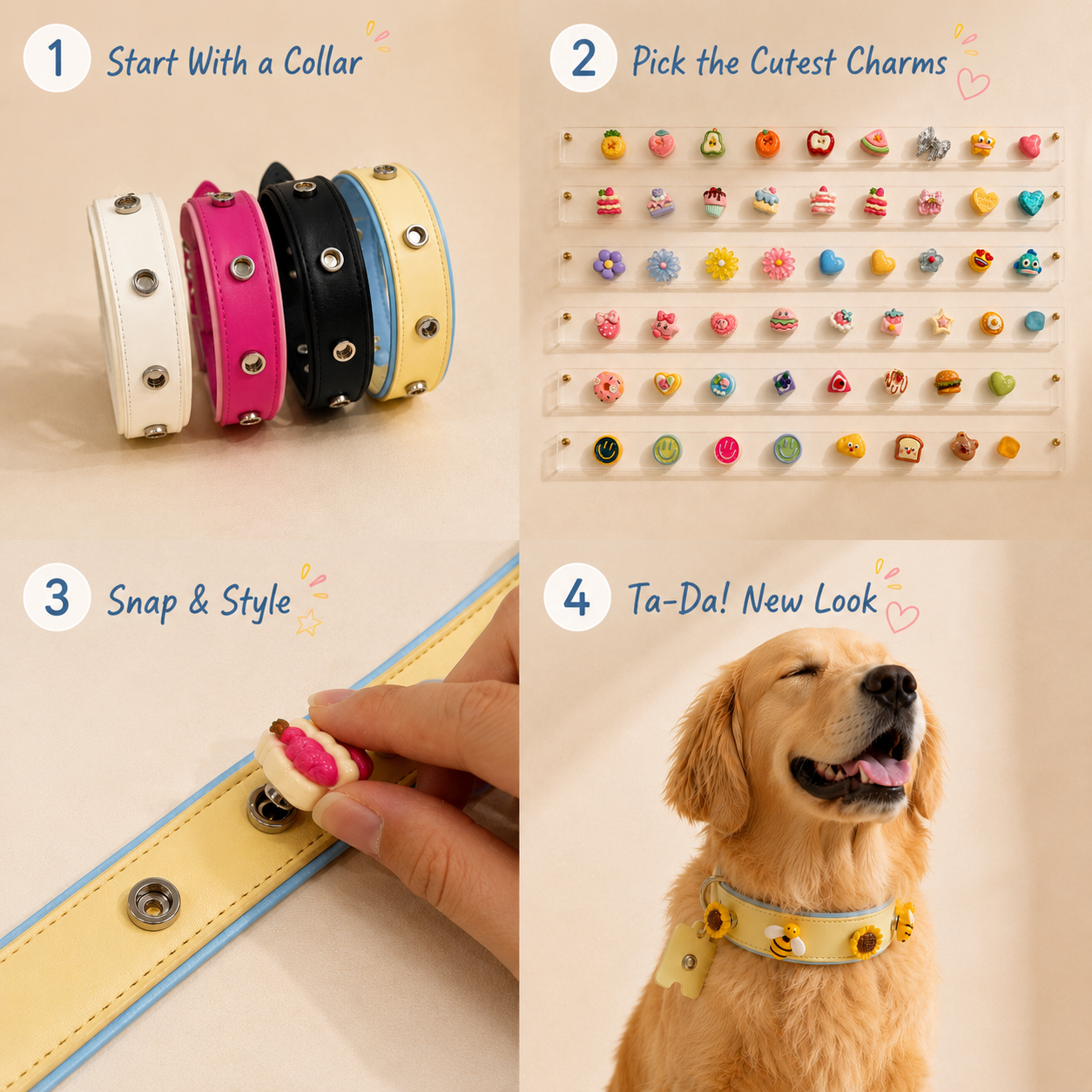 How to use a personalized dog collar with interchangeable charms by choosing a collar, adding charms, and creating different styles