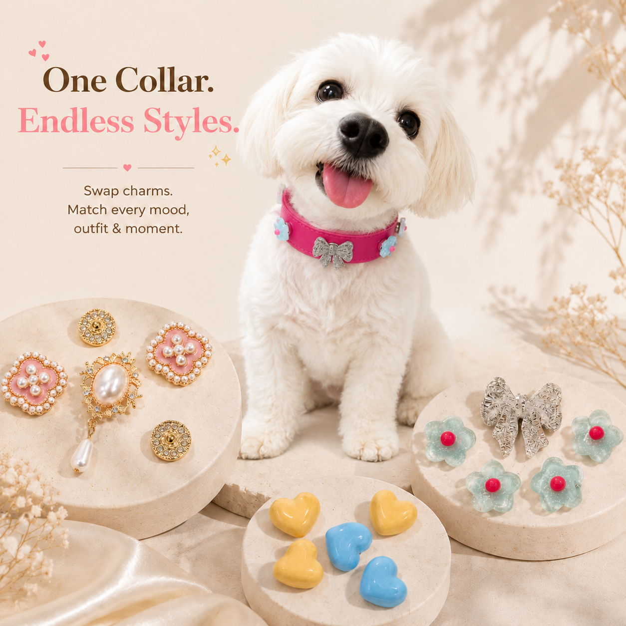 PETIRIA interchangeable dog collar charm set with a customizable dog collar and snap-on charms, creating personalized styles for dogs through mix-and-match pet accessories.