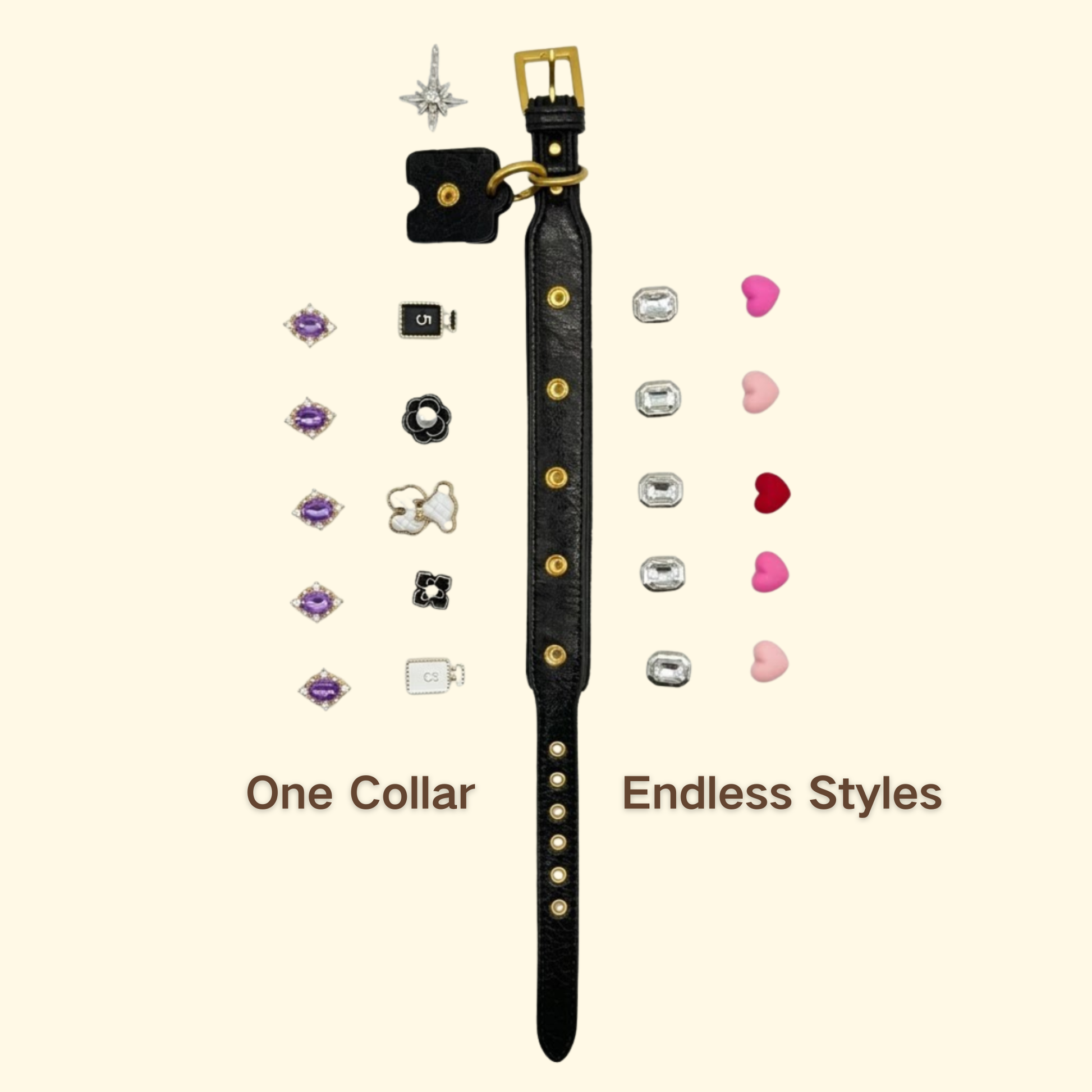 Customizable black dog collar with interchangeable charms for different pet styles
