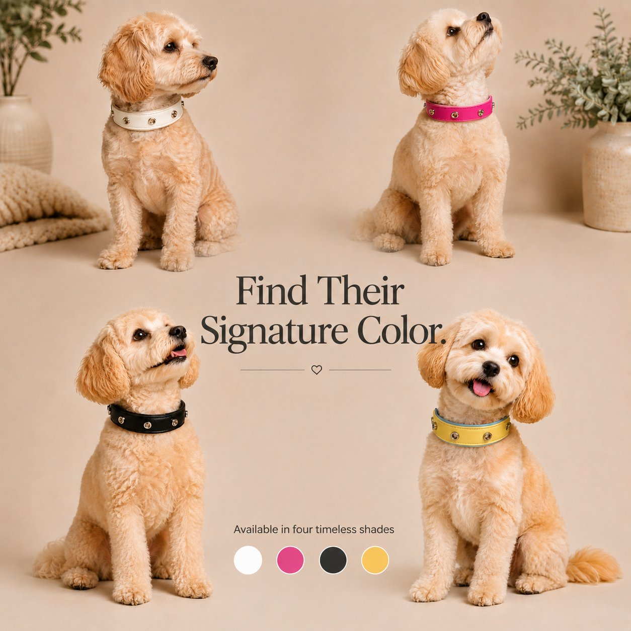 Dogs wearing PETIRIA interchangeable dog collars in white, pink, black, and yellow colors, showing different collar styles for personalized pet looks.