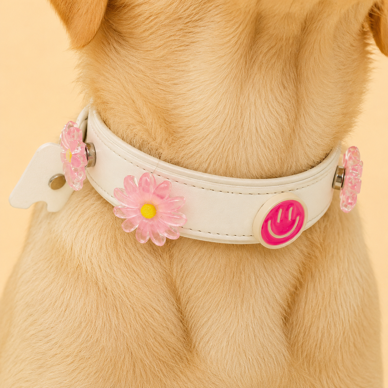 Pink daisy snap-on dog collar charm on PETIRIA white interchangeable dog collar, shown on a dog. Lightweight floral pet accessory for customizable dog collar styling in the US market.