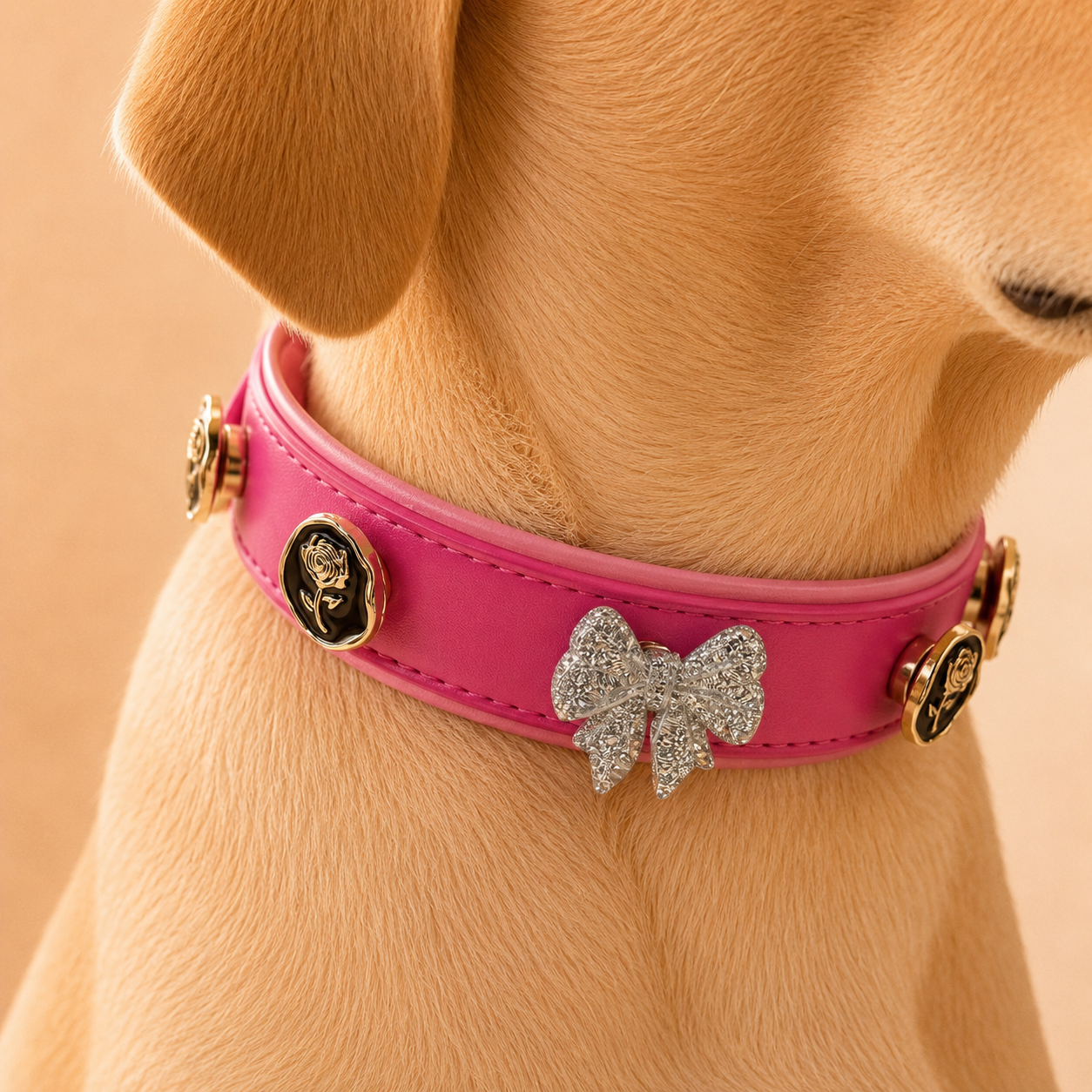 Dog wearing a pink Petiria interchangeable collar decorated with vintage silver bow and black rose snap-on charms.