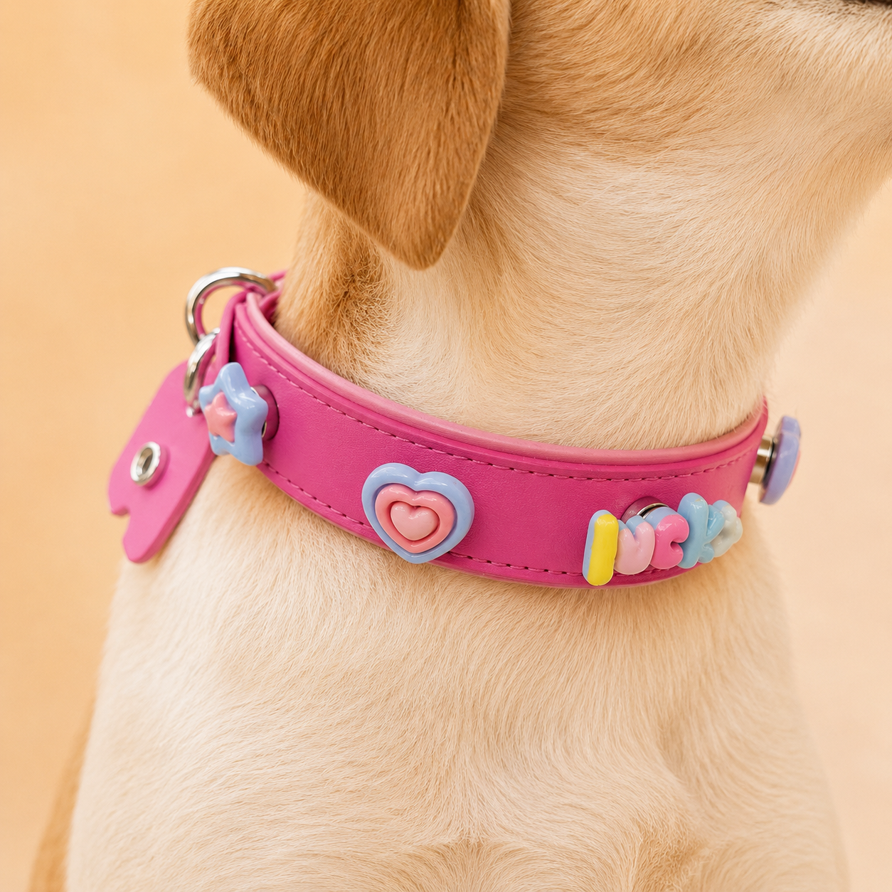 Close-up of a dog wearing a pink adjustable collar with snap-on heart charms for personalized pet styling