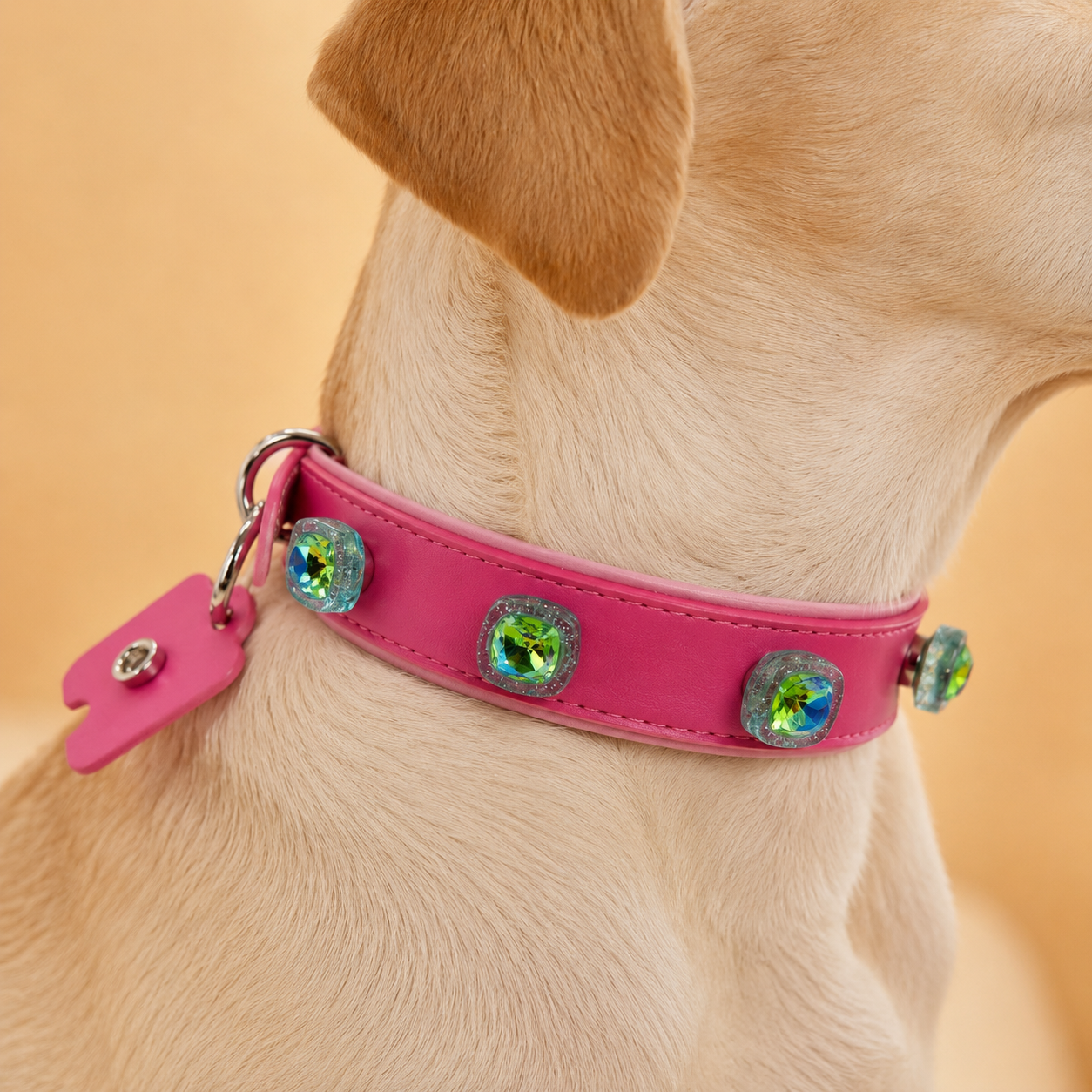 Dog wearing pink leather collar with interchangeable crystal snap-on charms, close-up pet accessory detail