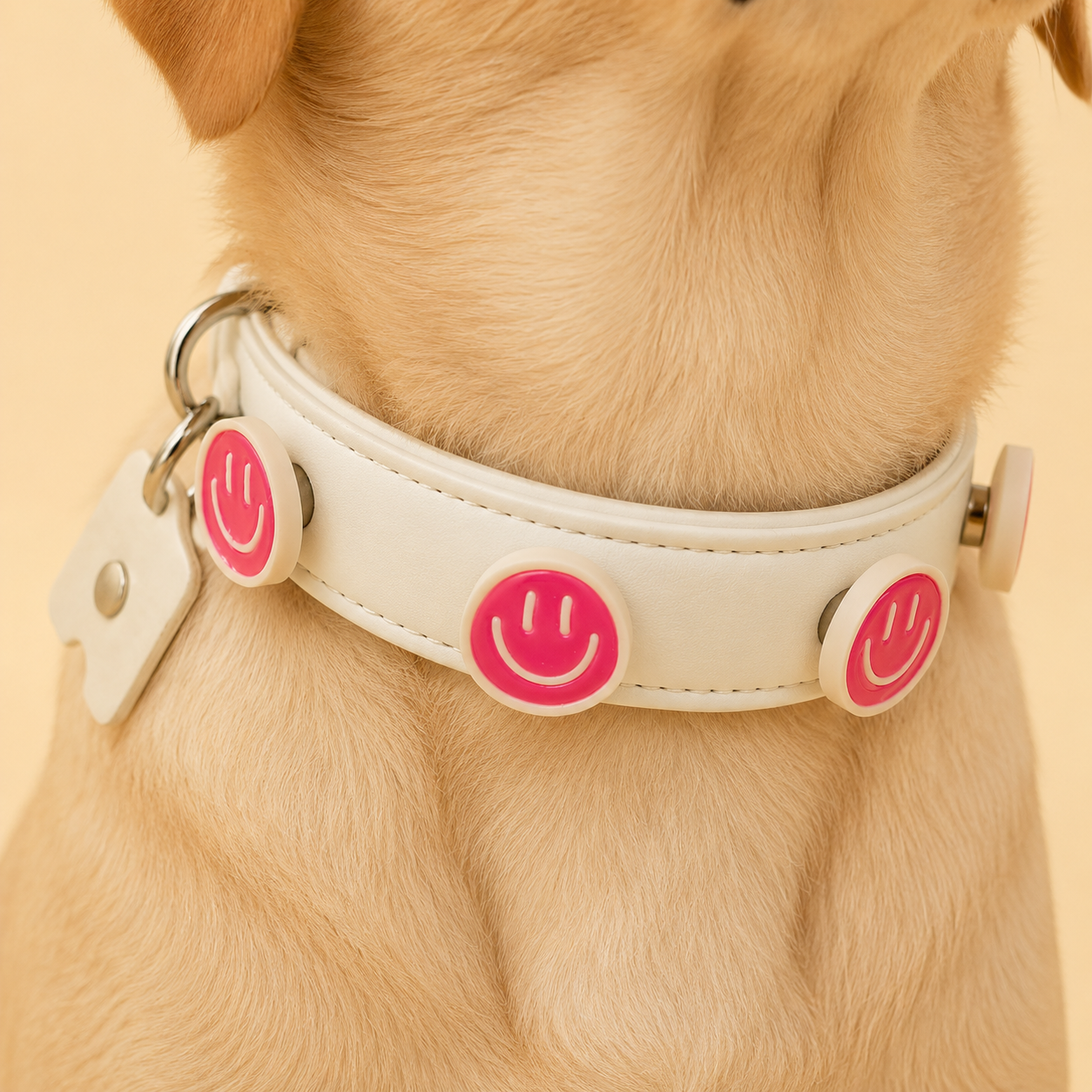 Pink smiley snap-on dog collar charm on white PETIRIA interchangeable collar, styled on a dog. Pet fashion accessory for customizable dog collars in the US market.