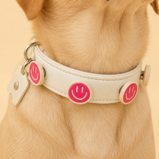 Pink smiley snap-on dog collar charm on white PETIRIA interchangeable collar, styled on a dog. Pet fashion accessory for customizable dog collars in the US market.