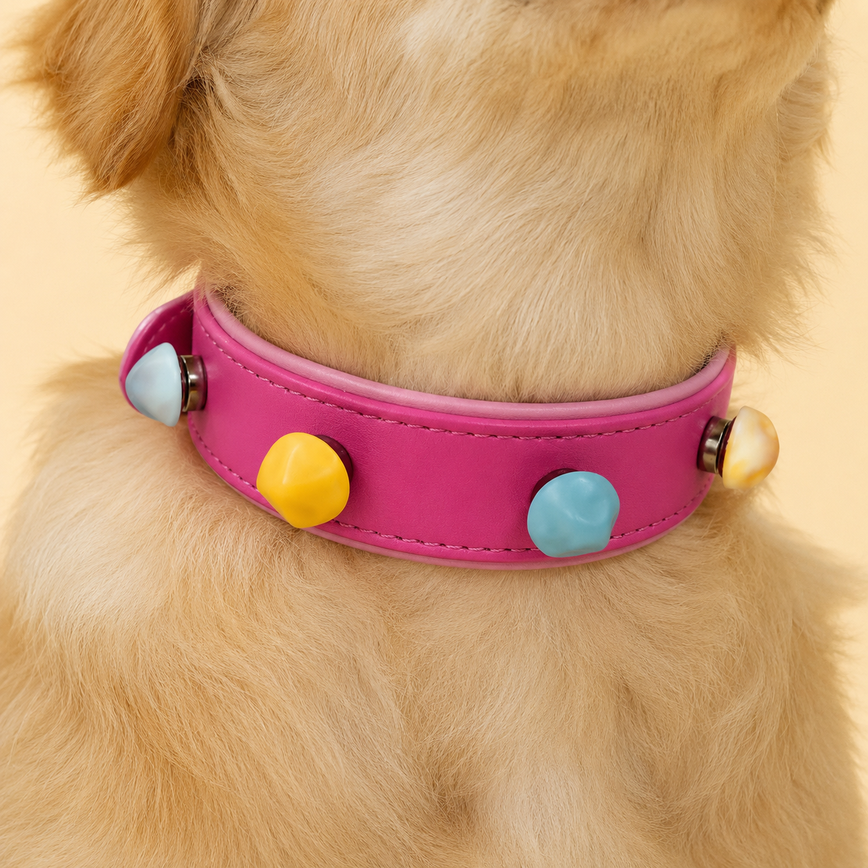 Small tan dog wearing pink snap-on dog collar with colorful round charms, interchangeable pet collar system for daily wear and styling