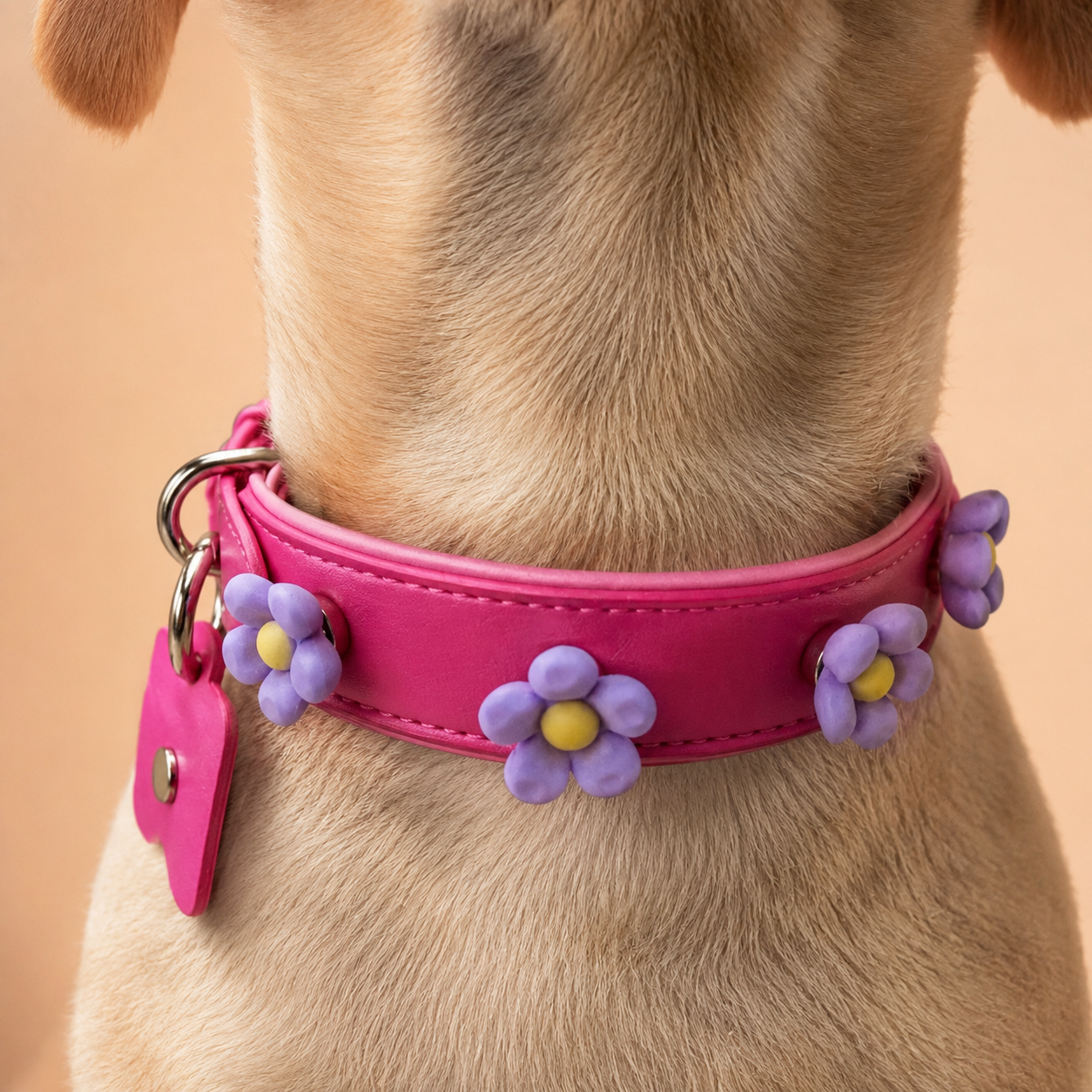 Small tan dog wearing pink snap-on flower charm collar, purple daisy interchangeable pet collar accessory for daily wear