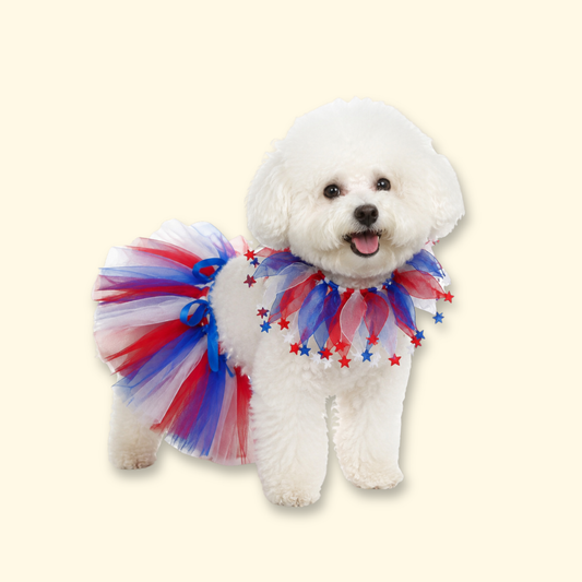 “Bichon Frise dog wearing USA-themed red, white, and blue tutu skirt and patriotic ruffle collar for Independence Day, 4th of July dog outfit, festive pet costume”