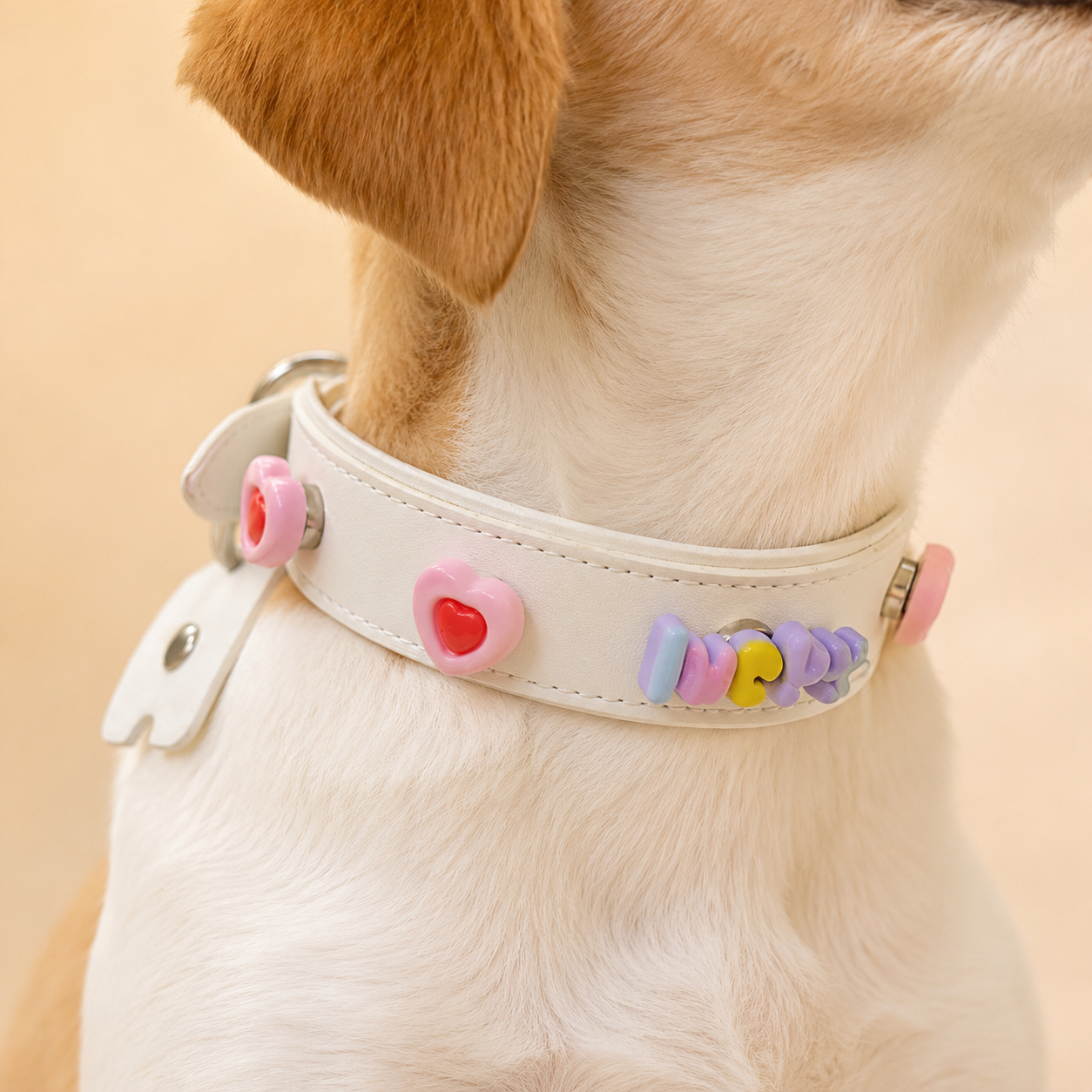 White dog collar with lucky letter snap-on charm and pink heart accessories, cute aesthetic pet styling for small breed dogs