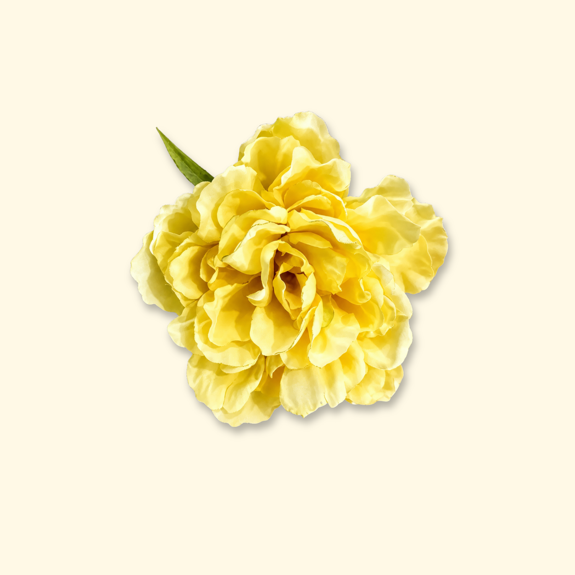 Yellow flower pet hair clip – stylish accessory for dogs and cats