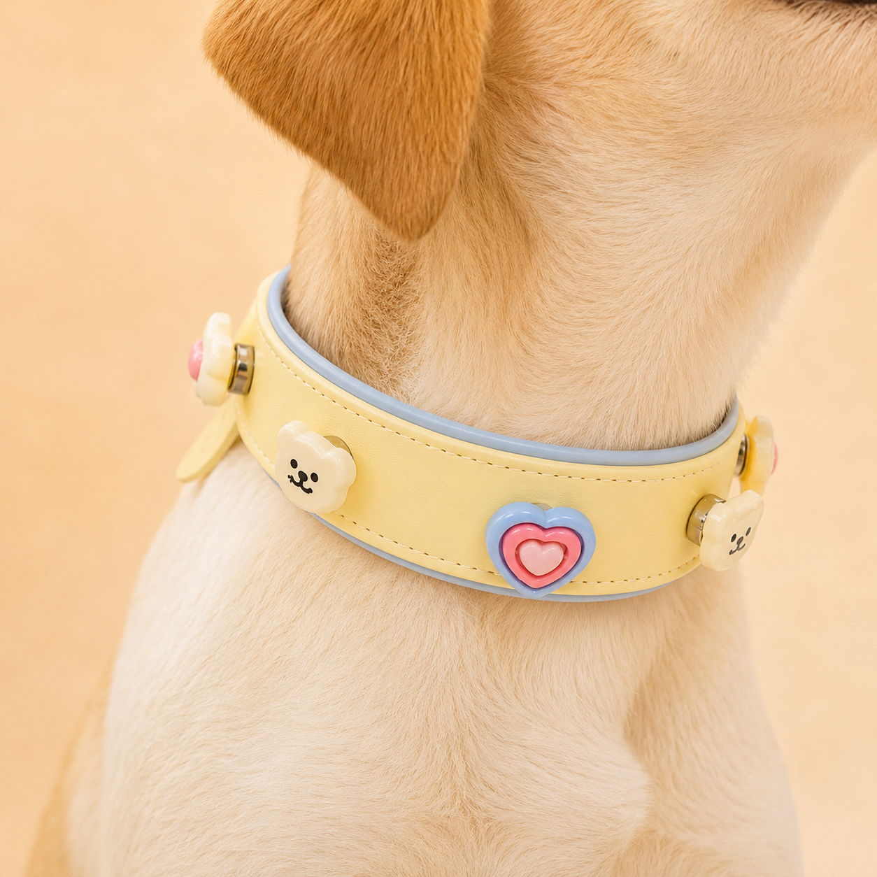 Close-up of a dog wearing a yellow adjustable collar decorated with pastel heart-shaped snap-on charms
