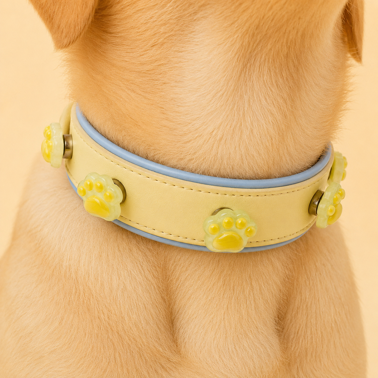 Dog wearing yellow collar with paw print snap-on charms, interchangeable pet collar charm system for daily styling