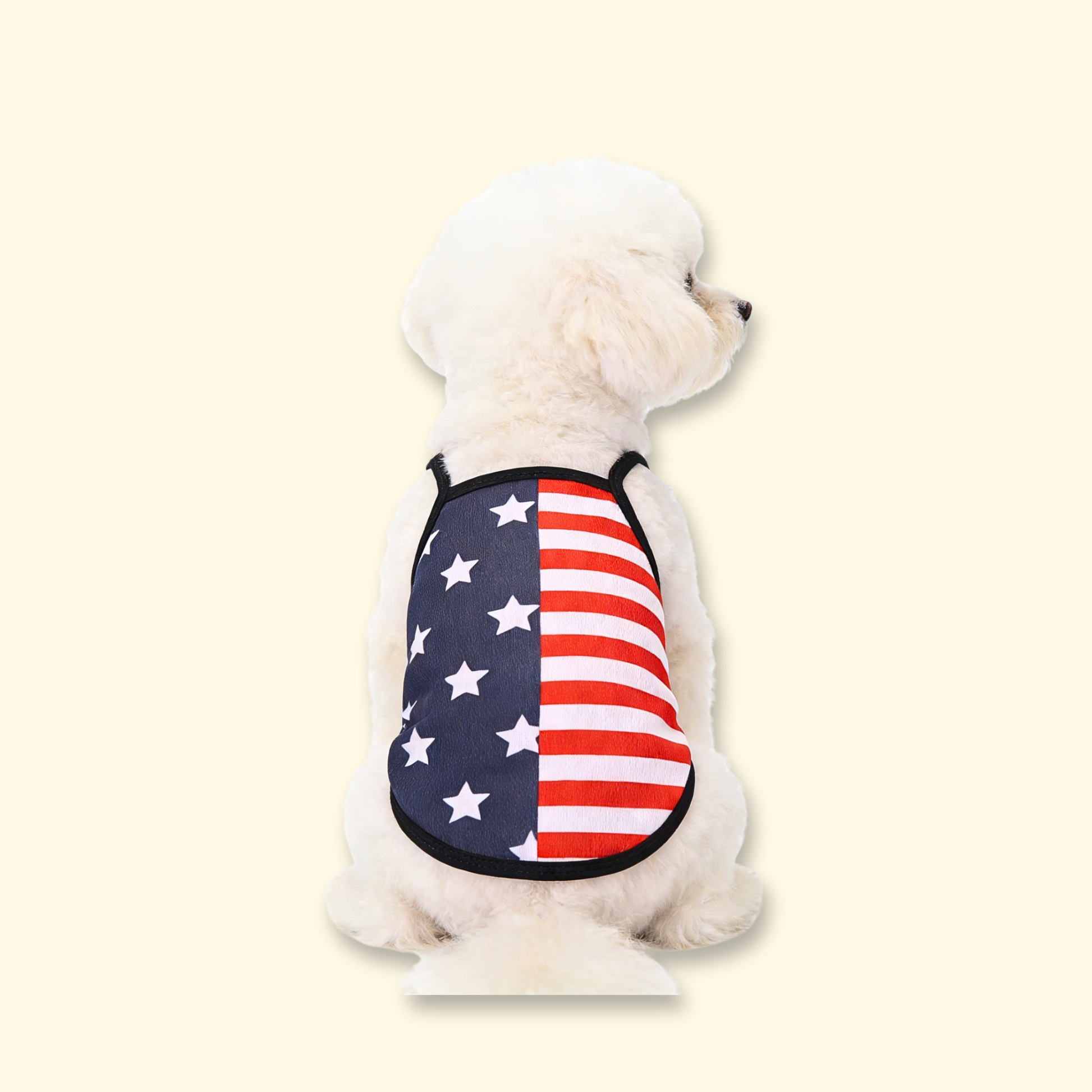 Back view of small dog wearing patriotic American flag dog tank