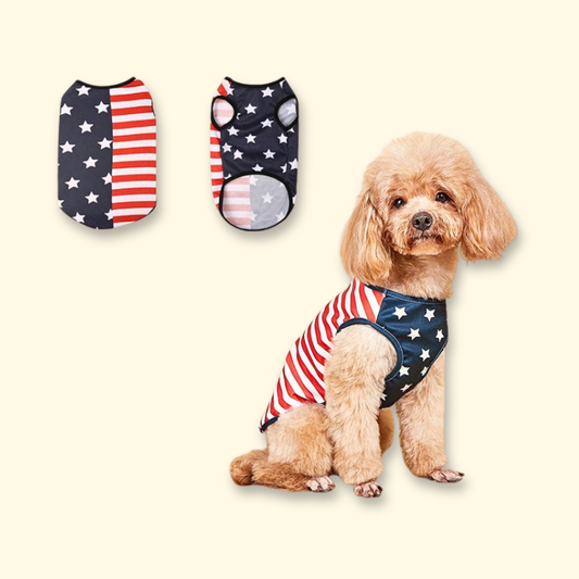 Small dog wearing an American flag dog tank for July 4th celebrations